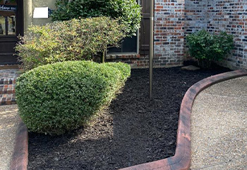 FLOWERBED CLEAN-UP & INSTALLATION